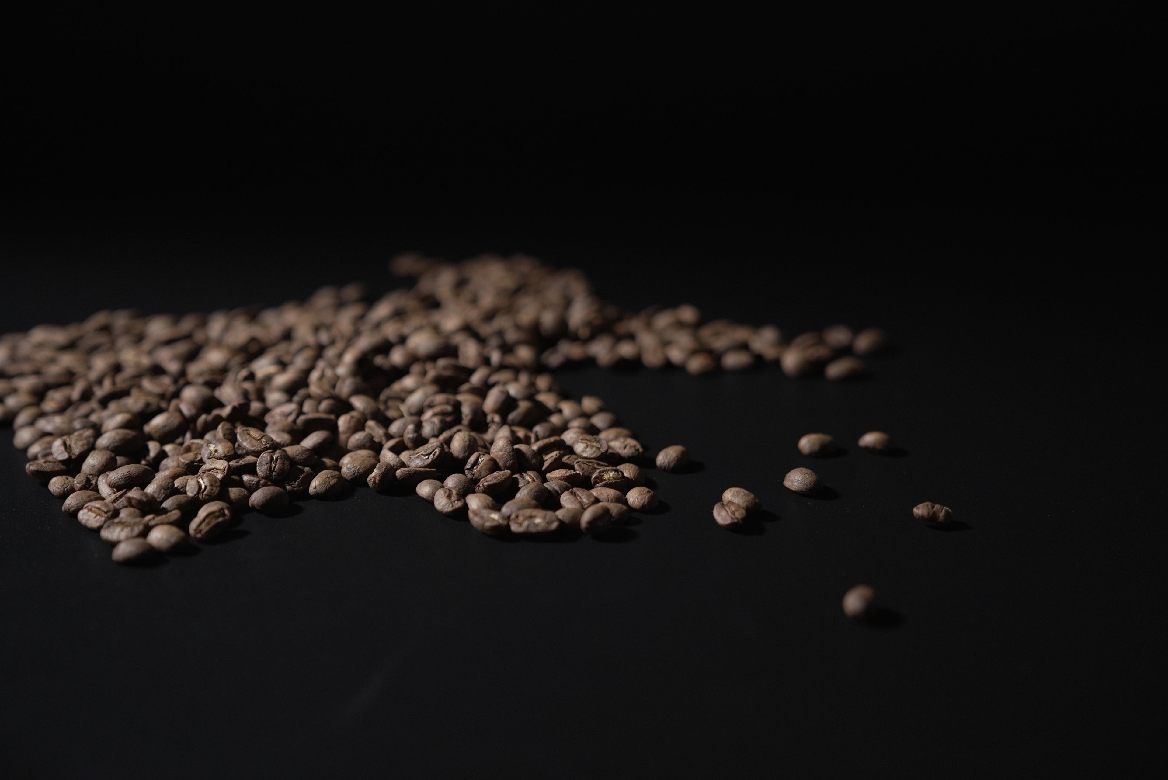 Brown seeds scattered on a dark background