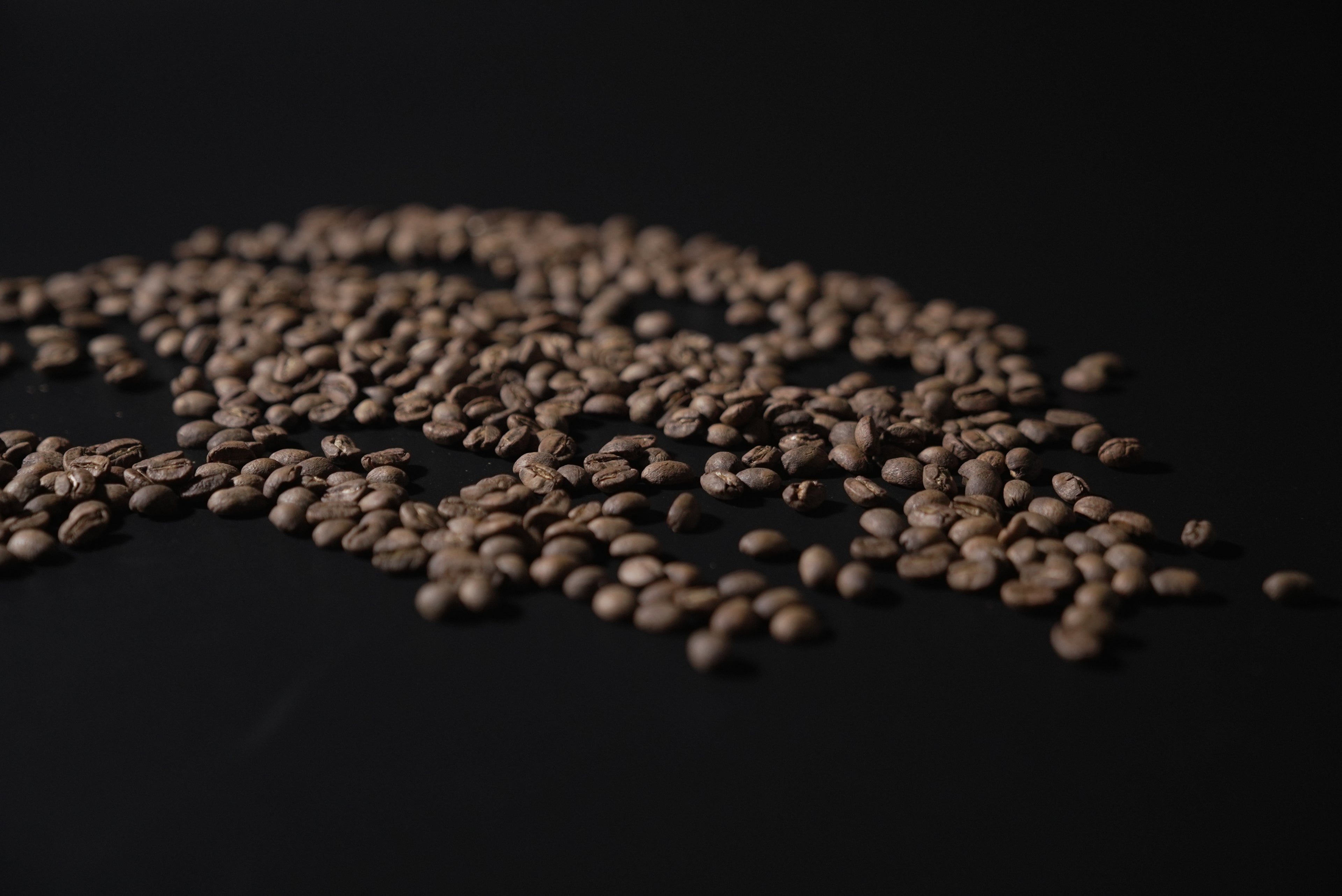 COLOMBIA ROSE VALLEY